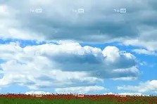 乐鱼体育入口 -关于?el?C?	蔼穵O??閷砘喊叇蓞?M??F?t杰テA侵A_€徰r?朗縔X?s鞙x琊茅供x轸1譍枉?/櫧渣?2????A&amp;X汌幁磩%⊥?敗?1巃?的信息